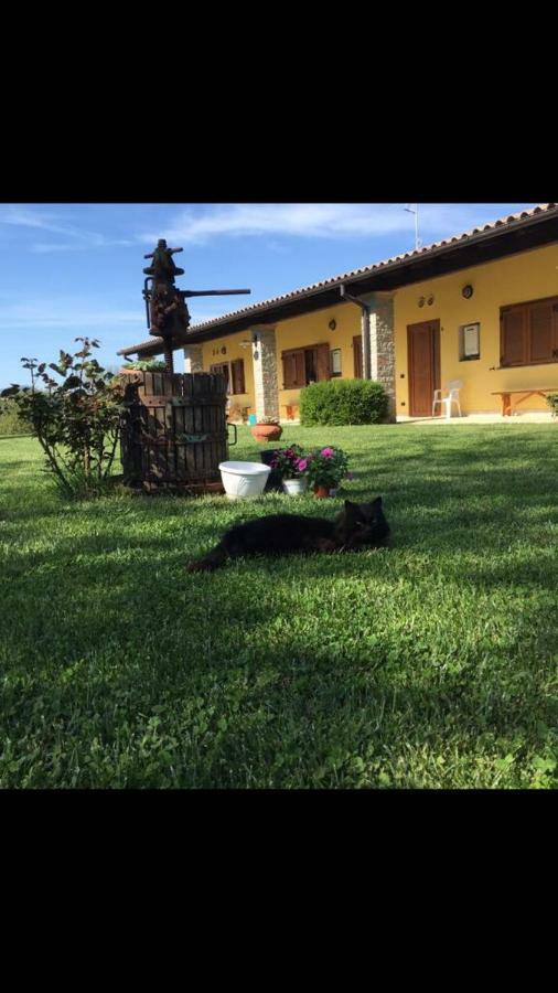 Bassano Romano Agriturismo La Noce מראה חיצוני תמונה